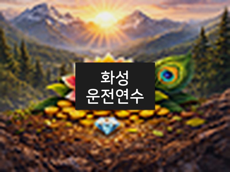 화성운전연수 후기