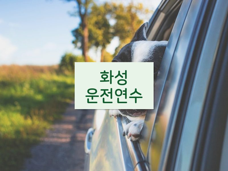화성운전연수 후기
