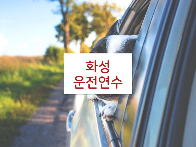 화성운전연수 후기