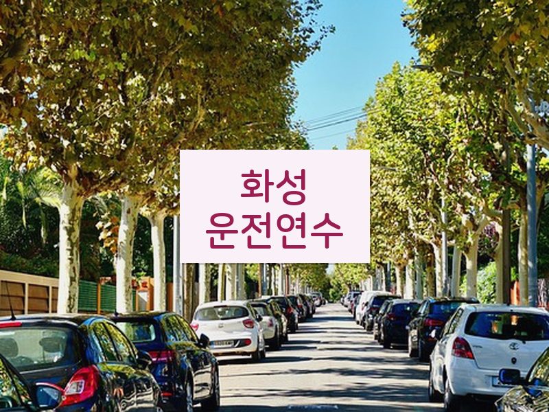 화성운전연수 후기