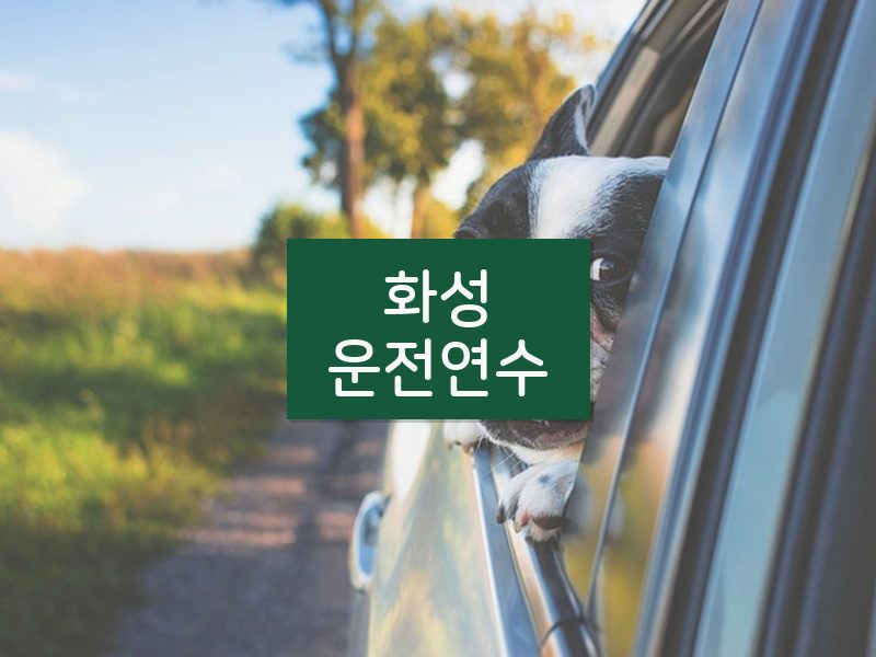 화성운전연수 후기
