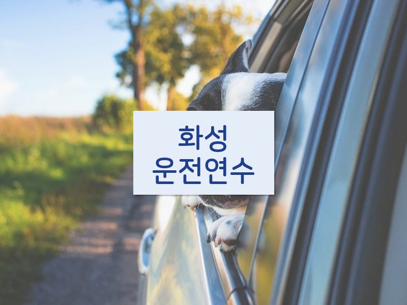화성운전연수 후기