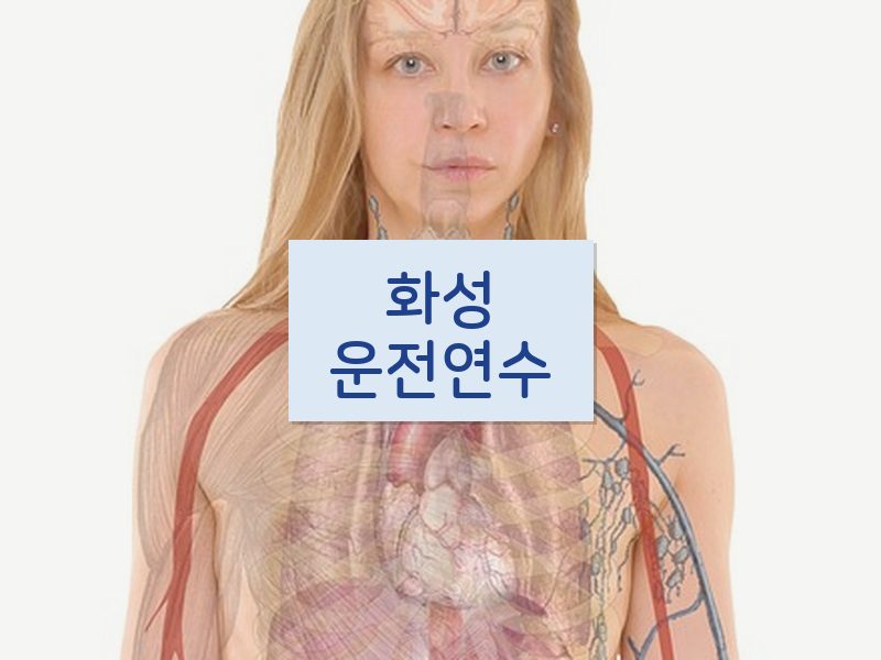 화성운전연수 후기