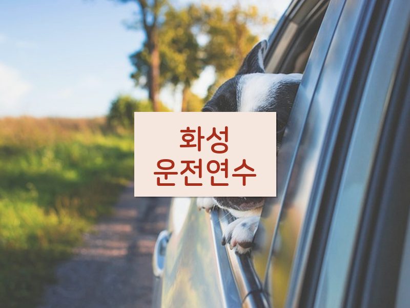 화성운전연수 후기