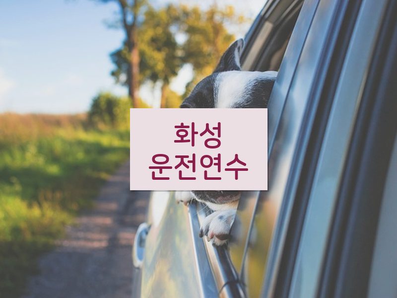 화성운전연수 후기