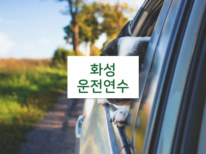 화성운전연수 후기