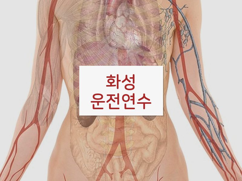 화성운전연수 후기