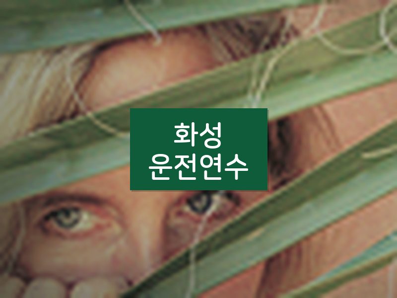 화성운전연수 후기