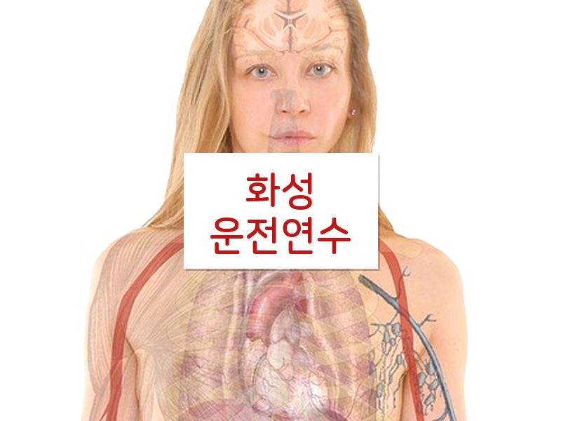 화성운전연수 후기