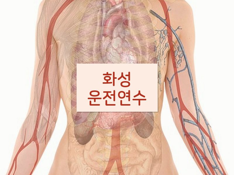 화성운전연수 후기