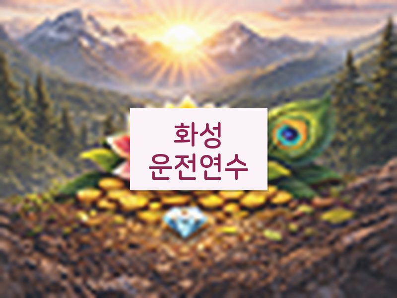 화성운전연수 후기
