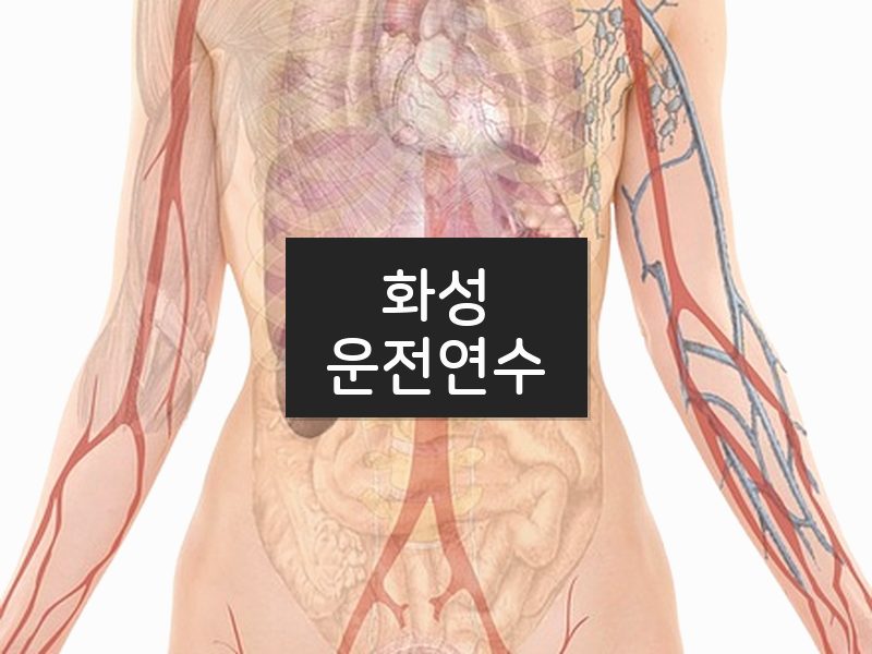 화성운전연수 후기