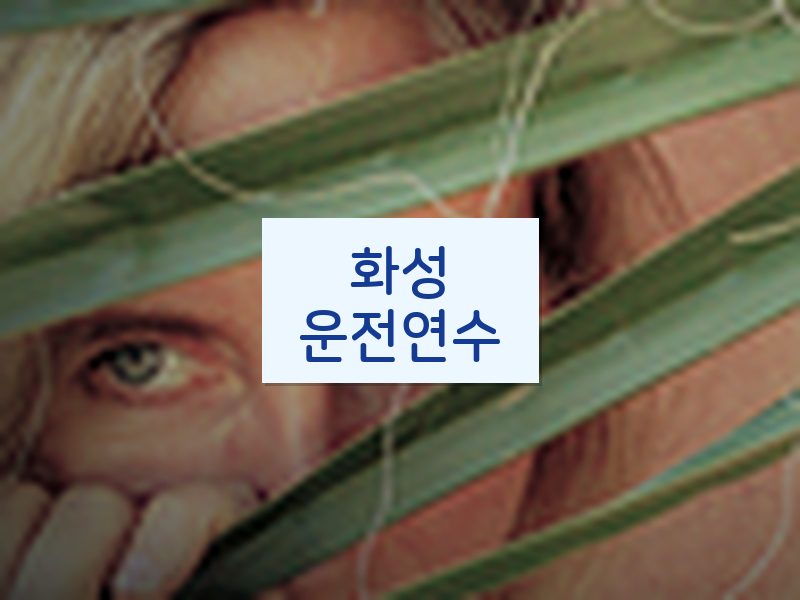 화성운전연수 후기