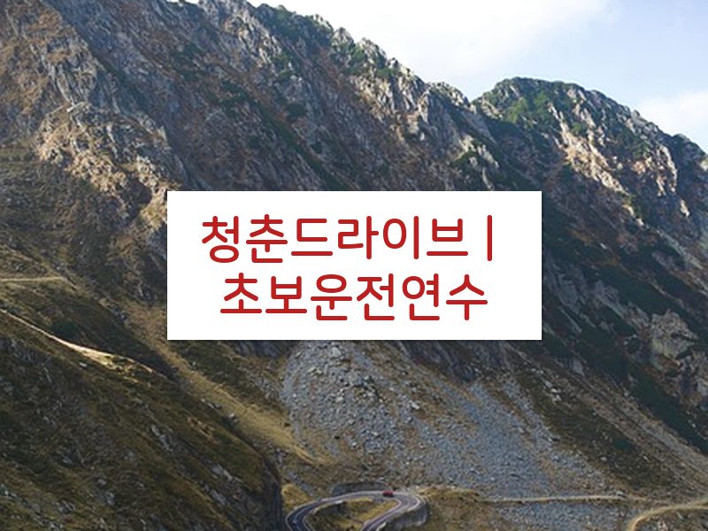 청춘드라이브 | 초보운전연수 후기