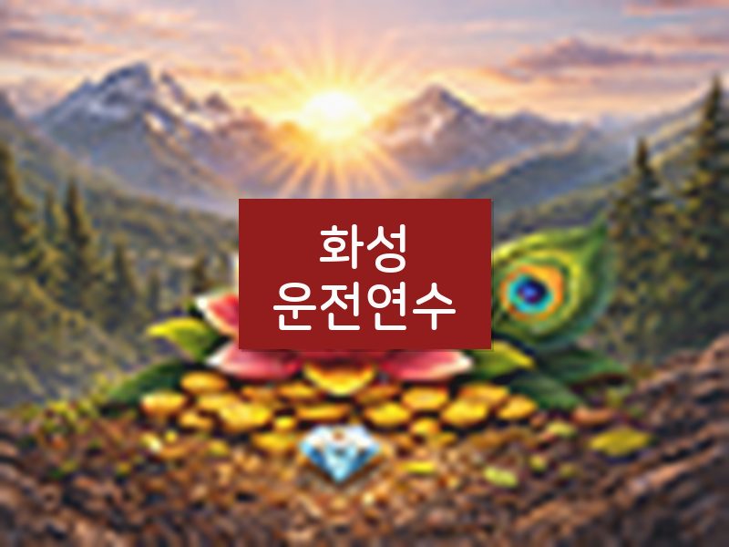 화성운전연수 후기