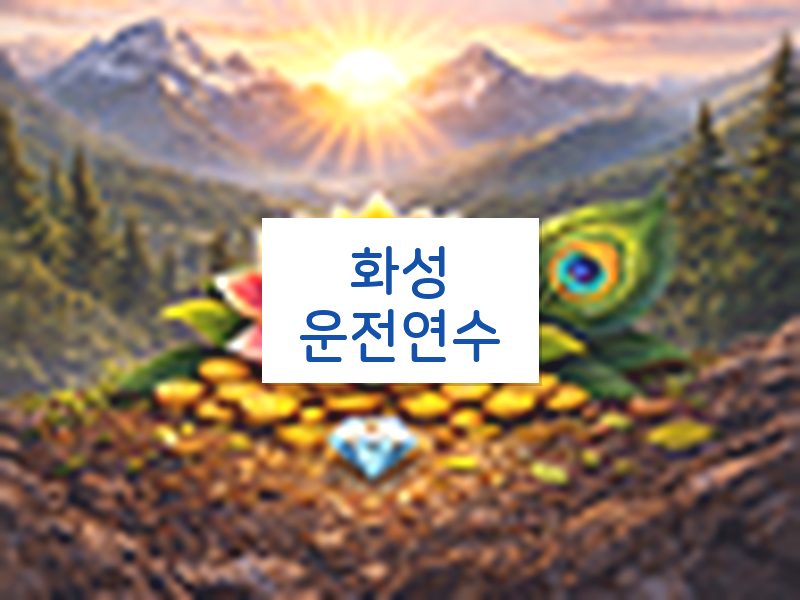 화성운전연수 후기