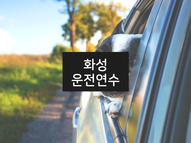 화성운전연수 후기