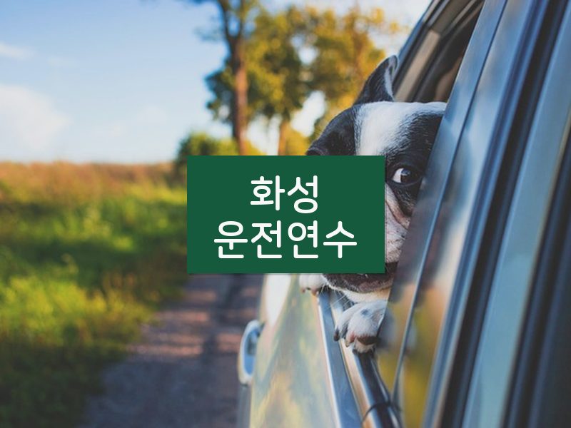 화성운전연수 후기