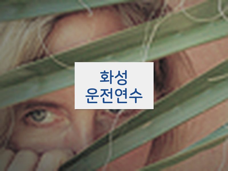 화성운전연수 후기