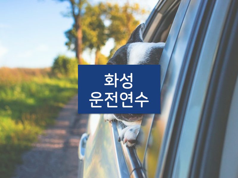 화성운전연수 후기