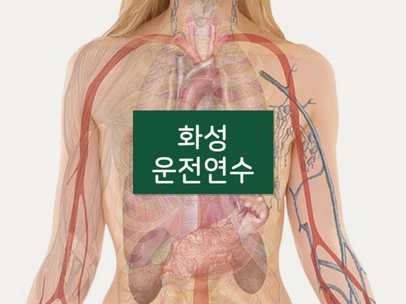 화성운전연수 후기