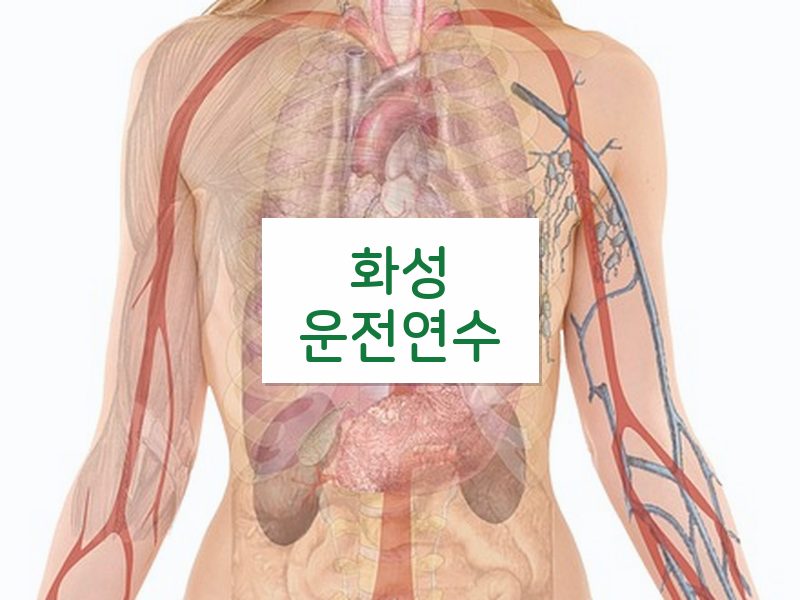 화성운전연수 후기