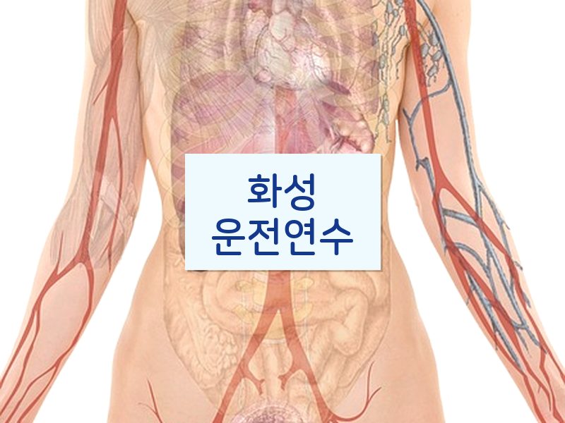 화성운전연수 후기
