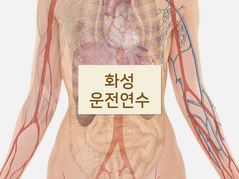 화성운전연수 후기