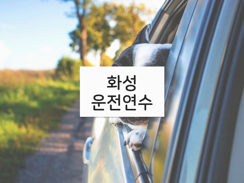 화성운전연수 후기