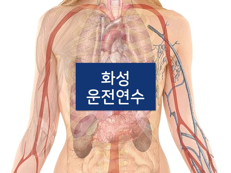 화성운전연수 후기