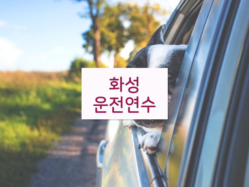 화성운전연수 후기