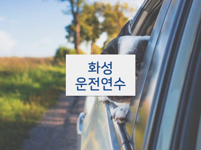 화성운전연수 후기