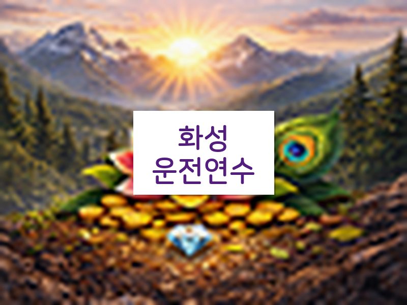 화성운전연수 후기