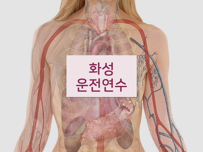 화성운전연수 후기