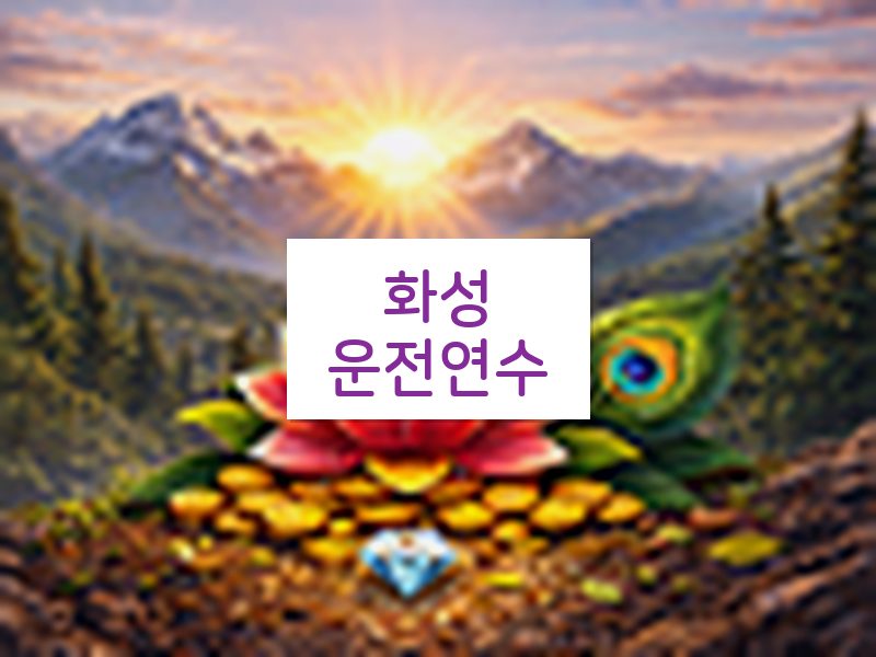 화성운전연수 후기