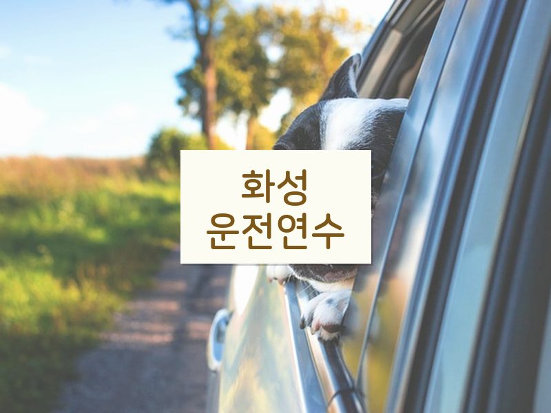 화성운전연수 후기