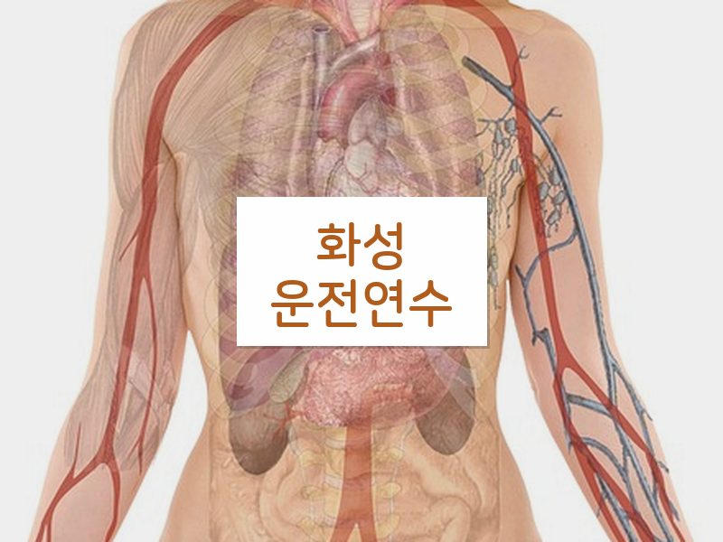 화성운전연수 후기