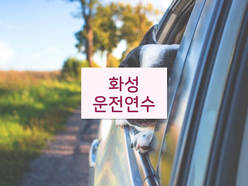 화성운전연수 후기