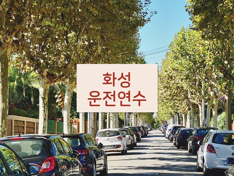 화성운전연수 후기