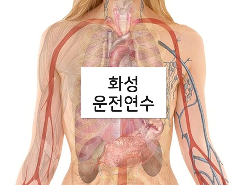 화성운전연수 후기