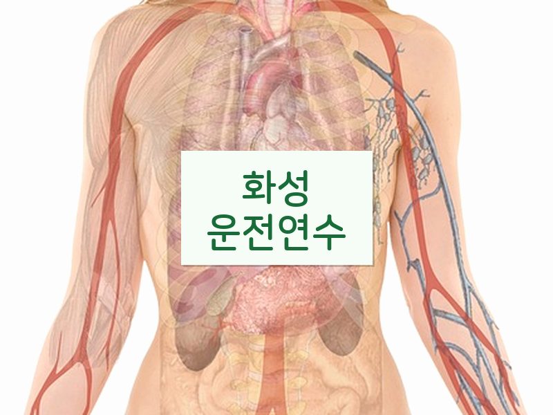 화성운전연수 후기