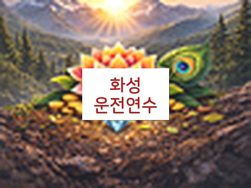 화성운전연수 후기