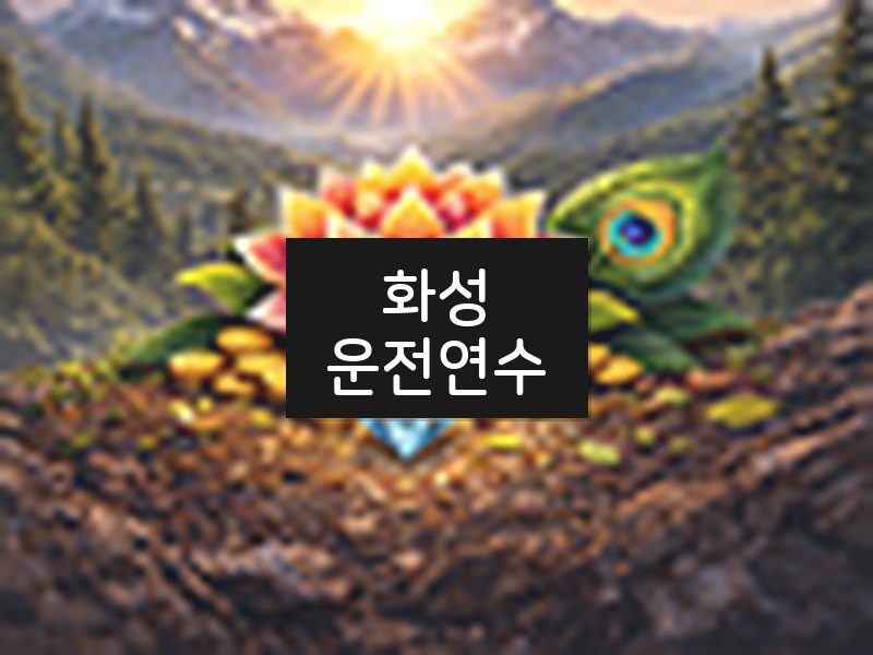 화성운전연수 후기