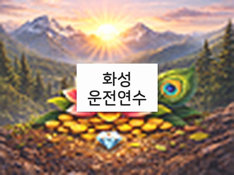 화성운전연수 후기