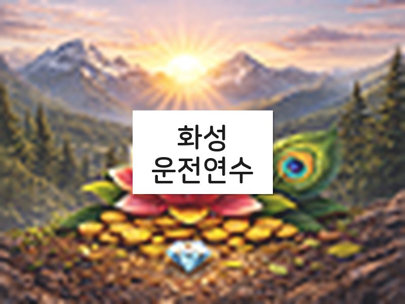 화성운전연수 후기
