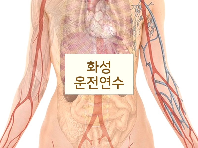 화성운전연수 후기