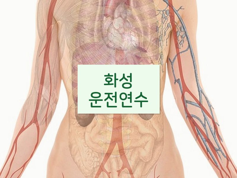 화성운전연수 후기