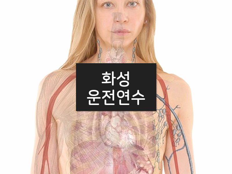 화성운전연수 후기