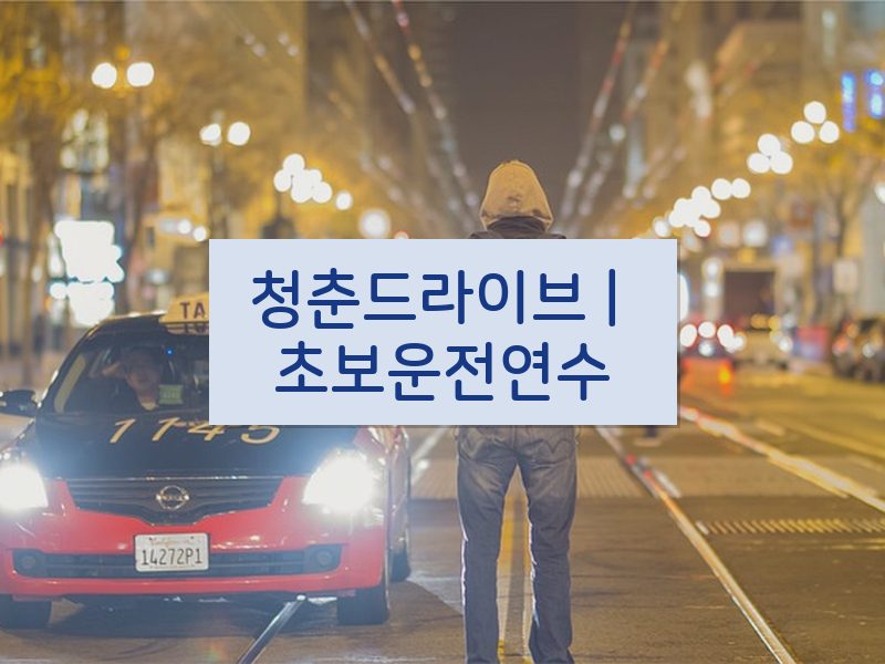 청춘드라이브 | 초보운전연수 후기
