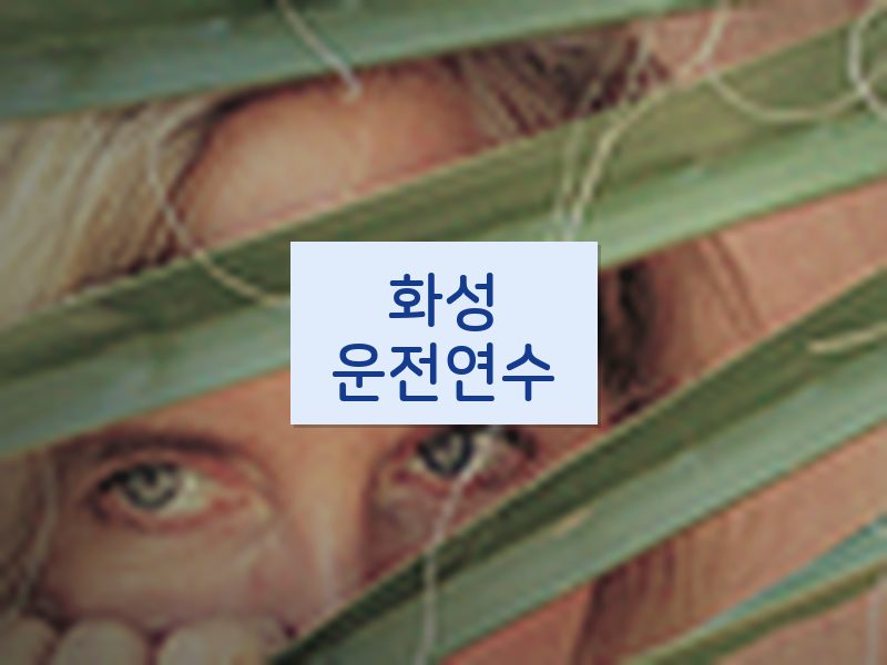 화성운전연수 후기